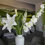 Design Harz-relax Апартаменты Харцгероде