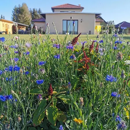 Design Harz-relax Appartement Harzgerode