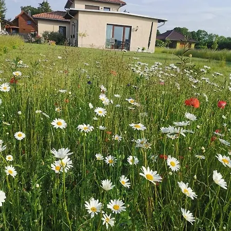 Design Harz-relax Apartman