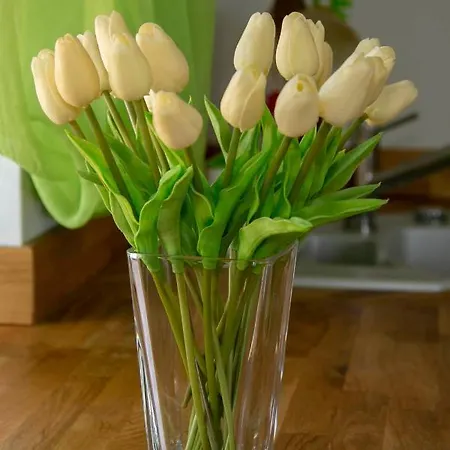 Design Harz-relax * Harzgerode