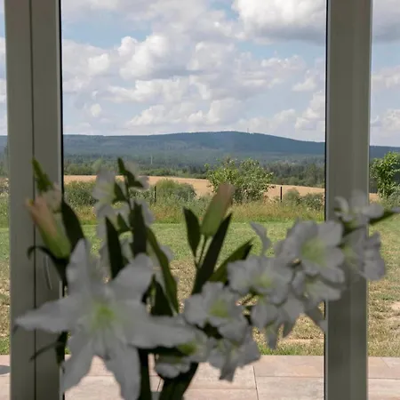 Design Harz-relax Appartement