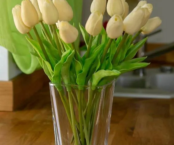 Design Harz-relax * Harzgerode