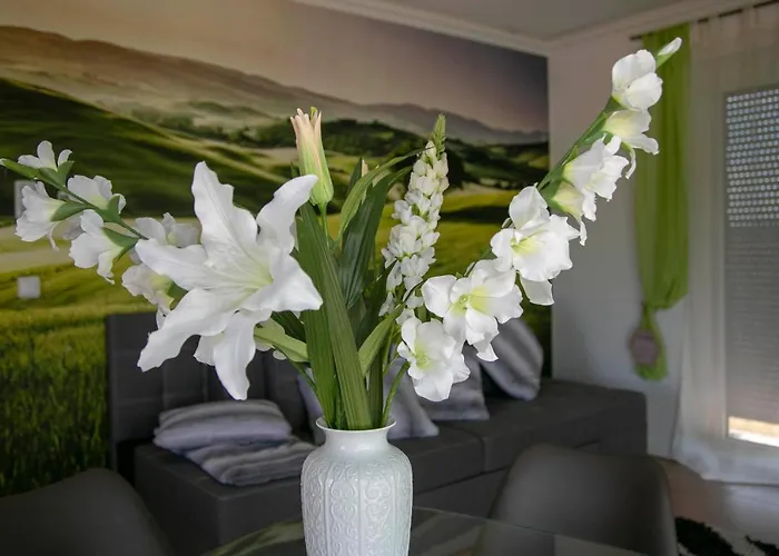 Design Harz-relax Daire Harzgerode