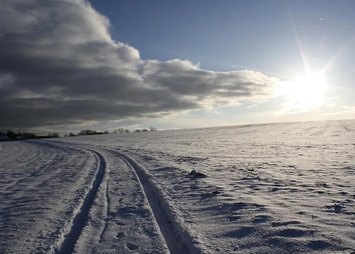 Daire Design Harz-relax